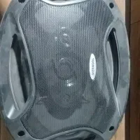 دو عدد باند