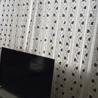 وسیل خانه.  پرده