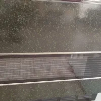 بخاری بزرگ سالم