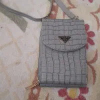 سلام ی عدد کیف