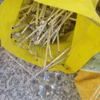 لوستر|لوستر و چراغ آویز|تبریز, |دیوار