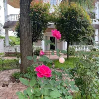 ویلاباغ رویایی650متری/استخردار/هم صفا/سند ششدانگ|فروش خانه و ویلا|چمستان, |دیوار