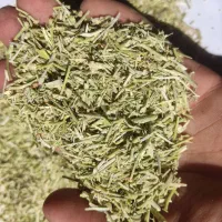 خارشتر با آنالیز|حیوانات مزرعه|اصفهان, جلفا|دیوار