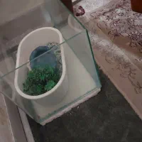 آکواریوم