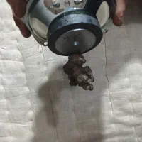 سنگ درجواهرات|کلکسیون اشیاء عتیقه|بروجرد, |دیوار