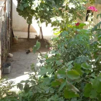 خانه ویلایی.