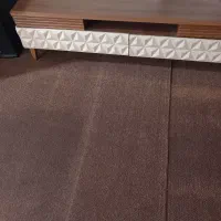 موکت تمیز در حد نو|موکت|علیآباد کتول, |دیوار