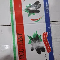 کارتن بادمجان دسته ۲