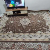 فرش 9 متری رنگ گردویی|فرش|سنندج, |دیوار