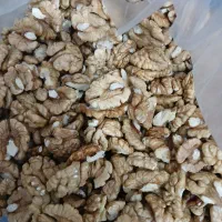 مغزگردوسفیدوروغنی|خوردنی و آشامیدنی|مشگین شهر, |دیوار