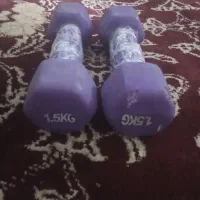 دمبل 1 نیم کیلویی