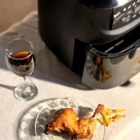 سرخ کن یرولوکس مدل ۴۸۴۰