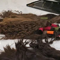 موی کوتاه تا بلند