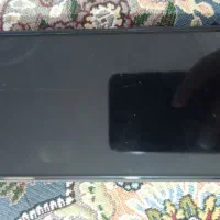 شیامی نت 14معمولی