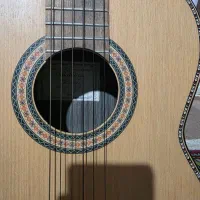 گیتار دالاهو۲۰۱۳