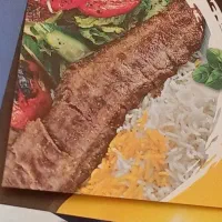 جذب نیروی ظرفشور خانم