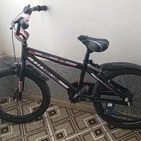 دوچرخه بیست