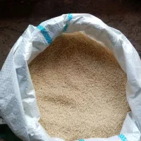 برنج ریز صدری دمسیاه دودی