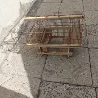 قفس تله پرنده شیک ودستبافت