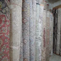 فرش ترنج|فرش|قم, باغ شریفی|دیوار