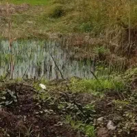 زمین فروشی سندتک برگ