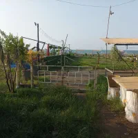 کلبه ساحلی تلار 1|اجارهٔ کوتاه‌مدت ویلا و باغ|خشکبیجار, |دیوار