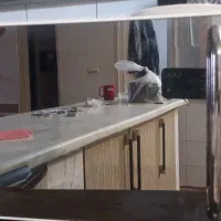 آبمیوه گیری و مایکرویو