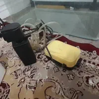 آکواریوم همراه تصویه|ماهی|مشهد, نیزه|دیوار