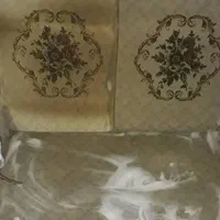 شست‌وشوی مبل،تشک ،موکت،لکه فرش با دستگاه اتوماتیک|خدمات نظافت|دوگنبدان, |دیوار