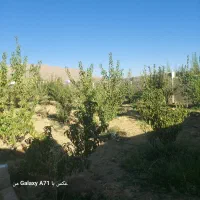 ۱۵۰۰ متر سند تک برگ نمای بیرون سنگ معاوضه با خودرو|فروش خانه و ویلا|ارژن, |دیوار