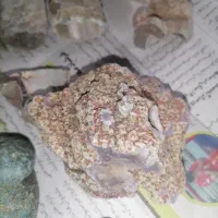 سنگ عقیق و ...|کلکسیون اشیاء عتیقه|مشهد, عامل|دیوار