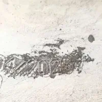 کپسول سی ان جی|قطعات یدکی و لوازم جانبی|سنندج, |دیوار