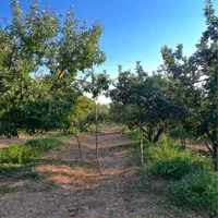 فروش۲۷۵متر  باغ زمین دیوارکشی+سند+اقساط چکی جابان|فروش زمین و ملک کلنگی|دماوند, |دیوار