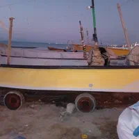 تور ماهیگیری