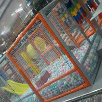 مربی خانه بازی کودک