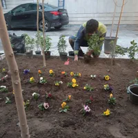 کلیه کارهای سم پاشی،باغبانی،گل کاری وهرس ،تیلرزنی|خدمات باغبانی و درختکاری|مشهد, سرافرازان|دیوار