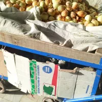 گاری فروشی