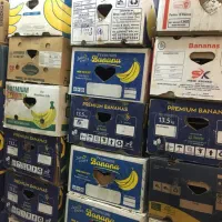 کارتن موزی برای اسباب کشی