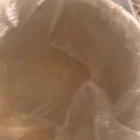 پلوپز۱۲نفره|سایر لوازم برقی|اردبیل, |دیوار