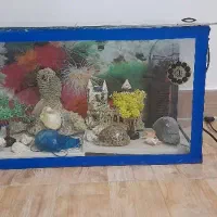 اکواریوم