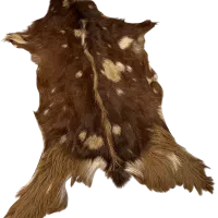 پوست طبیعی بز دباغی شده اصل با کیفیت