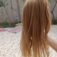 کله مناسب شینیون