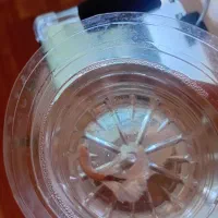 ماهی فایتر نر