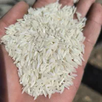 برنج دمسیاه اصیل ایرانی،مستقیم از کشاورز