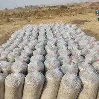 تفاله چغندر|لوازم جانبی حیوانات|محمدبار, |دیوار