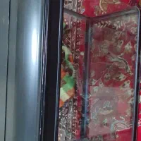 فروش آکواریوم شیشه خم ۸۰ سانتی درب آلمینیومی