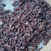 کشمش افتابی|خوردنی و آشامیدنی|ملایر, |دیوار