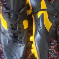 کتونی ورزشی چمنی