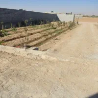 فروش باغ قلعه سفید معاوضه با خانه ماشین باغ