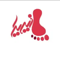 قالیشویی پازیریک   1870 بدون کد